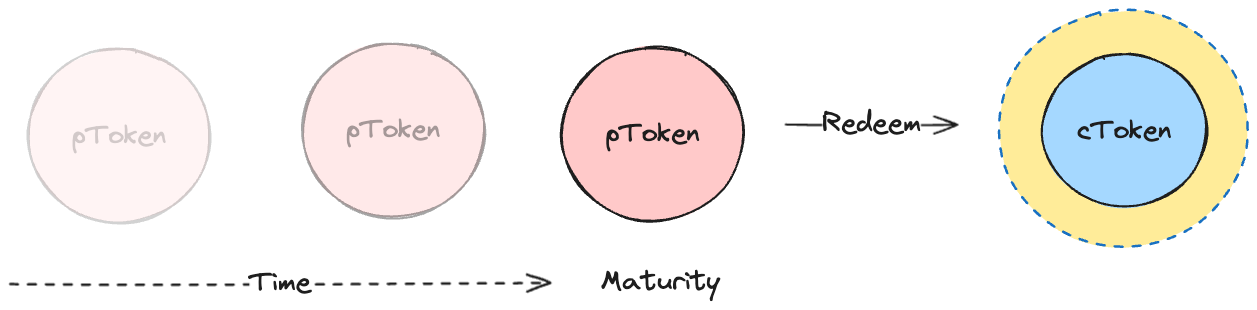 pToken maturity