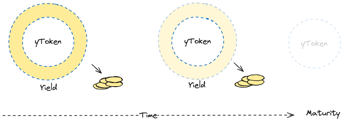 yToken maturity